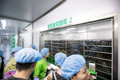 淘小鋪楓葉聯(lián)盟掌柜參觀輕輕茶 攜手探索茶葉新方向